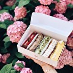 SHOco bakery