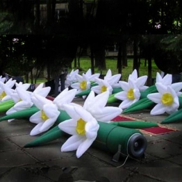 КАРНАВАЛ  студия праздников