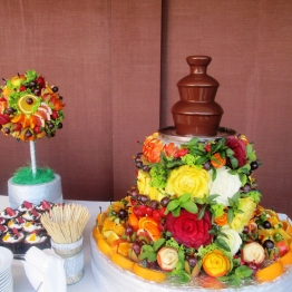 Оксана Шегеда