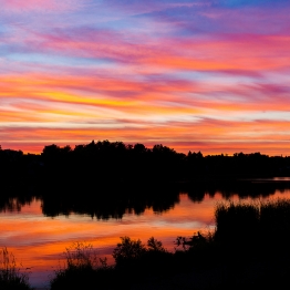 Наталия Сурин