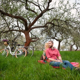 Тарас Халак