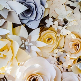 Ірина Проців Весільна агенція 