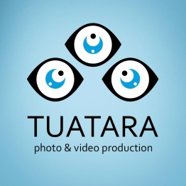 Дмитро Мостовий