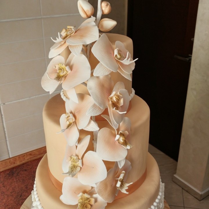 Ніна Левчук