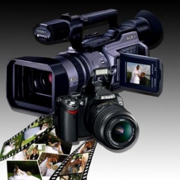 ВСРекун VSRekun