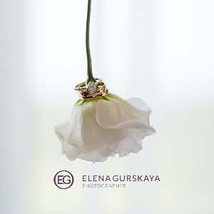 Елена Гурская