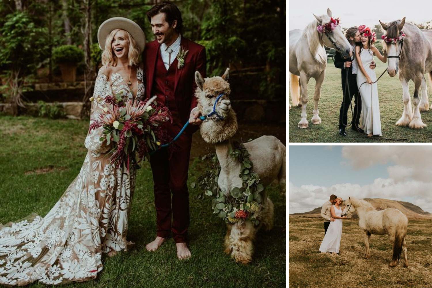 Love story с лошадьми, ламой фото