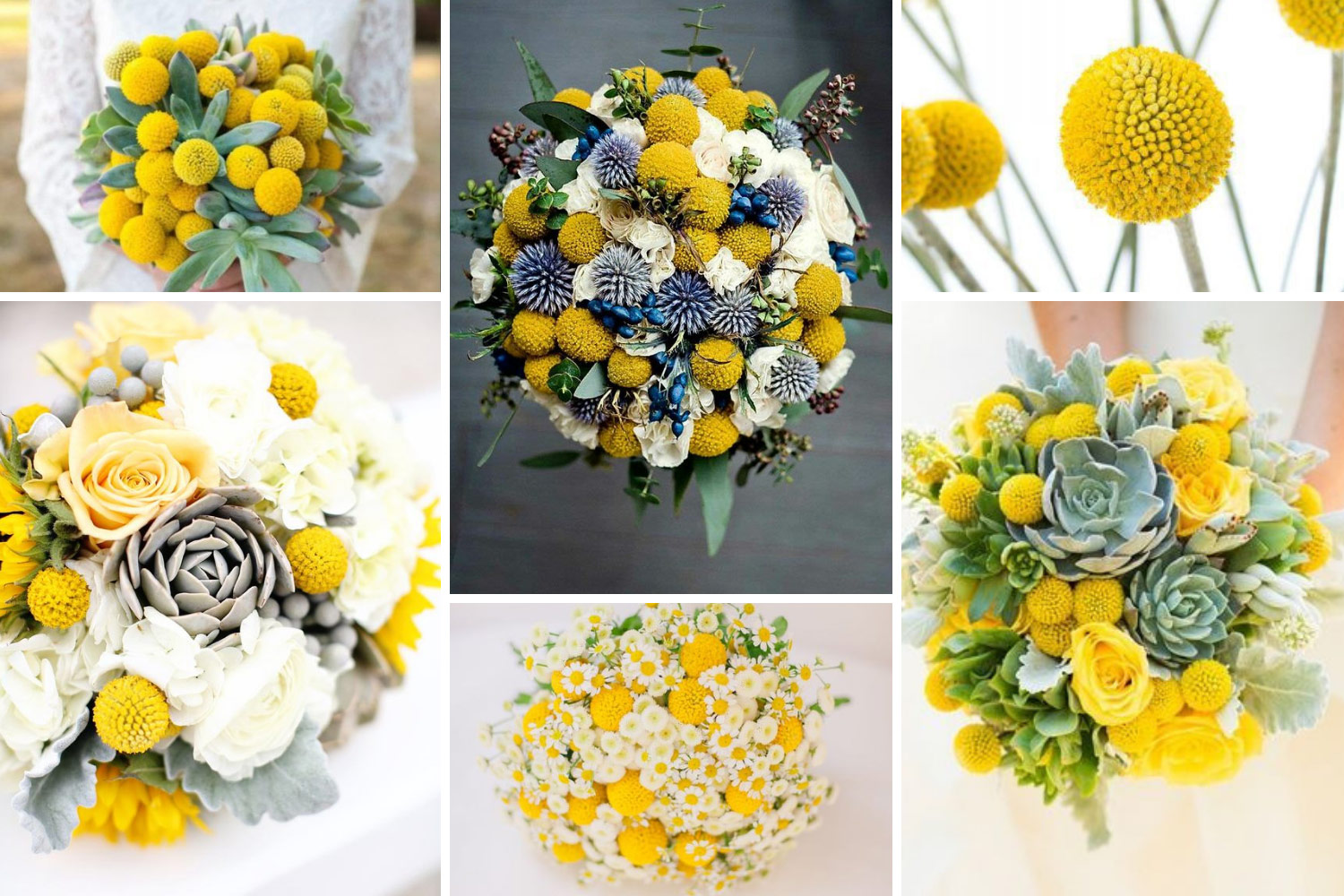 Букет з краспедією