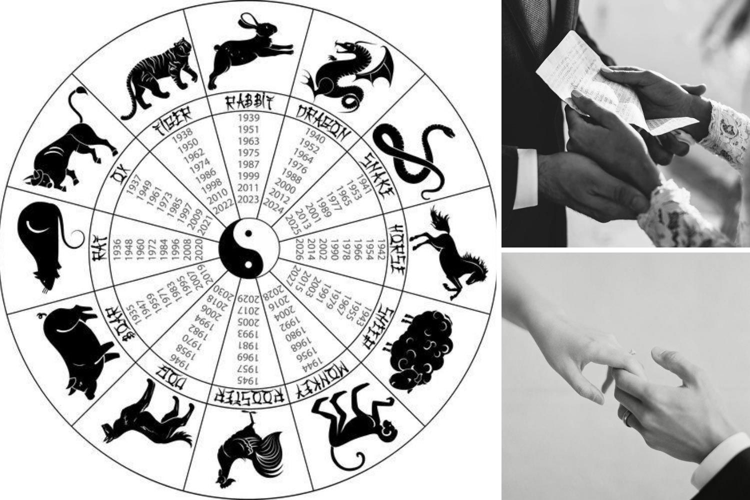 Годы со зверями. Китайский гороскоп животные. Животные восточного календаря. Символы китайского календаря. Все символы года.
