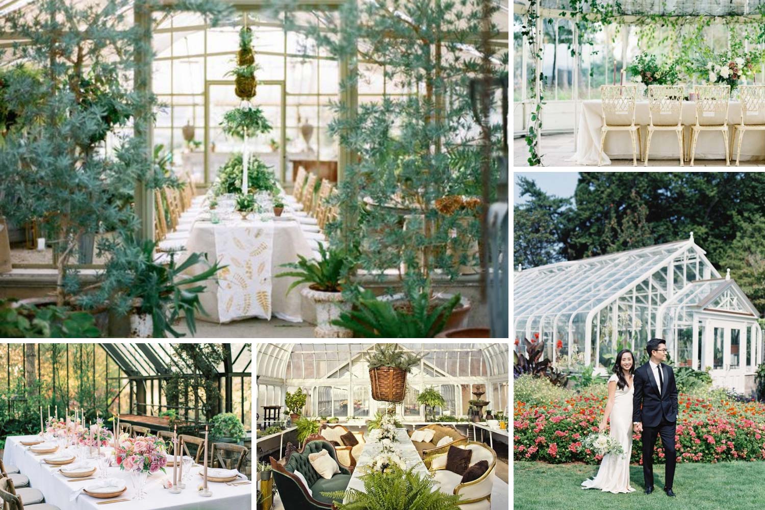 Свадьба в ботаническом саду, оранжерее фото