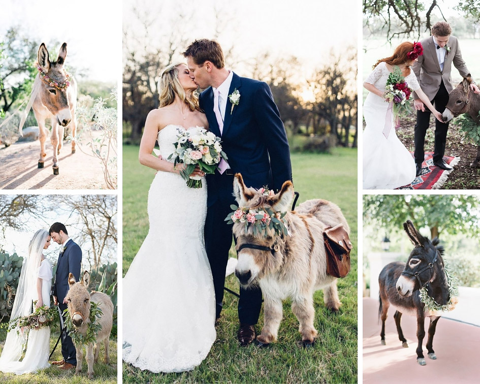 весілля в бразилии