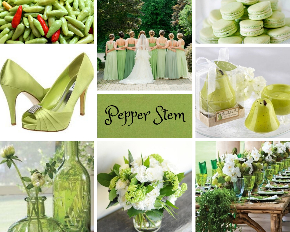 колір оливковий на весіллі 2019