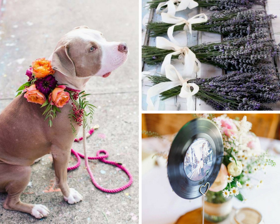 свадьба с собакой фото