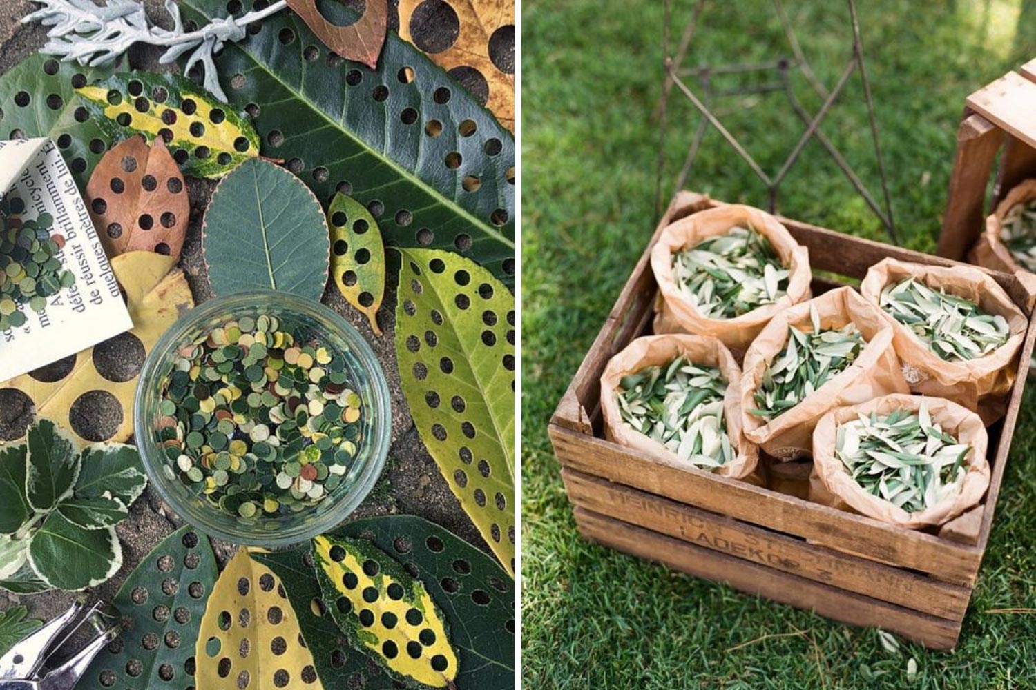 Еко конфеті для весільної церемонії з листя, пелюсток