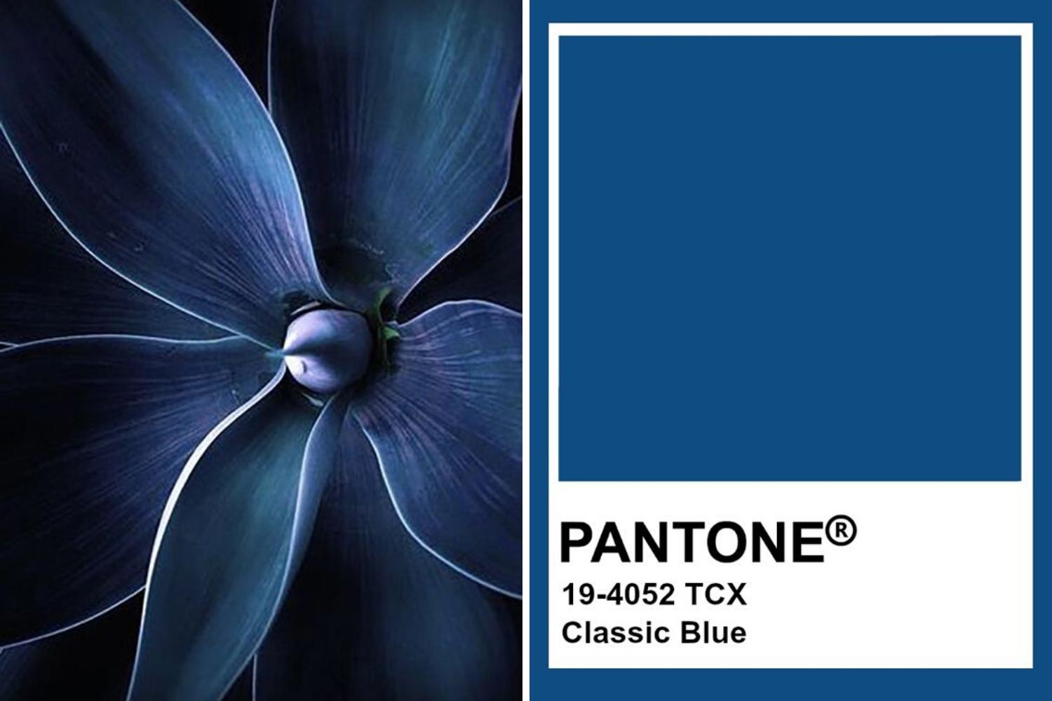 Classic Blue: колір року 2020 за версією Pantone