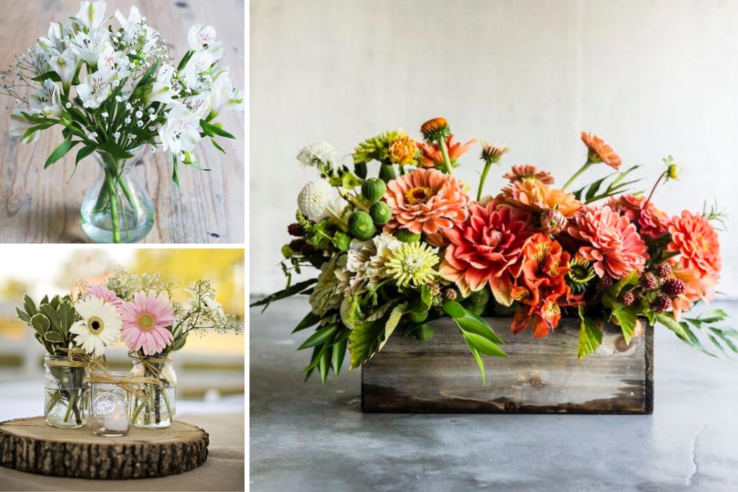 Стойкие цветы для композиций: гербера, альстромерия, хризантема фото 