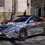 ЕКСКЛЮЗИВНЕ ДЗЕРКАЛЬНЕ Авто SONATA NEW