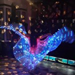 Light Dance  Show