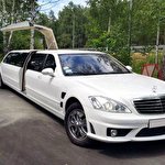 Ольга Погорєлова #7464