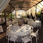 VitaPark Борисфен Борисфен #7356