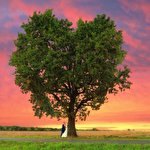 Олег Бачинський #2926