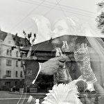 Anna Rytsar #2153