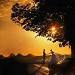 Дмитрий Собокарь #335