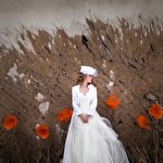 Дмитрий Собокарь #335