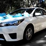 Автомобілі