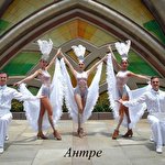 Шоу-балет LIGHT #8311