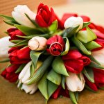 Ольга Коломієць #1660