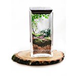 Gurin Попова #6612