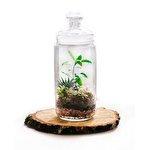 Gurin Попова #6612