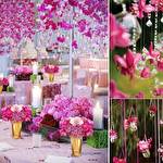 Координатор