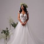 ILARDY #6834