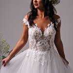 ILARDY #6834