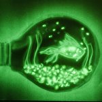 Катерина Азза #765