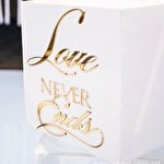 WEDDING.LVIV.LOVIS  #8251