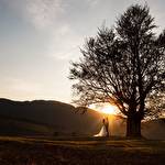 Н&Н Сікач #4046