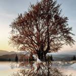 Н&Н Сікач #4046