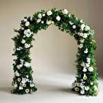 Дарина Василенко #10349