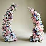 Дарина Василенко #10349