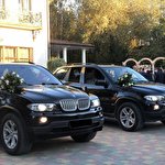 Anatoliy Gavrysh #6619