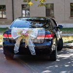 Николай  #8321