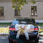 Николай  #8321