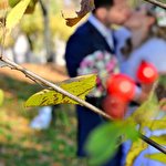 Виктория Перепелица #2719