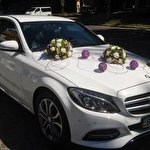 Автооздоба #4629