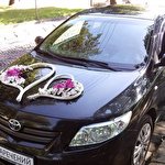 Автооздоба #4629