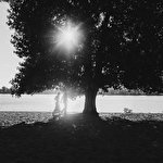 Юлия Елинецкая #591