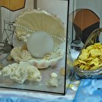 Весільне агенство 